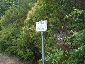 Avenue de Pezenas