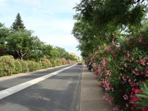 Avenue de Pezenas