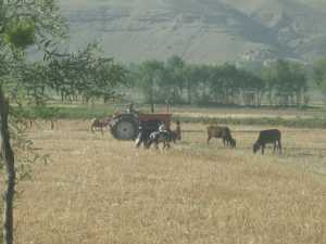 Afghanistan
Juillet 2010