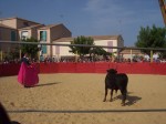 Juillet 2005 - la corrida