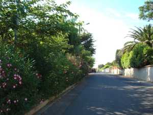 Chemin du Parc