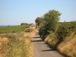 Photo-titre pour cet album: Les CHEMINS autour de PINET