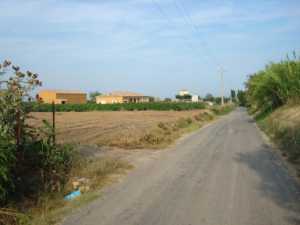 Chemin de Florensac