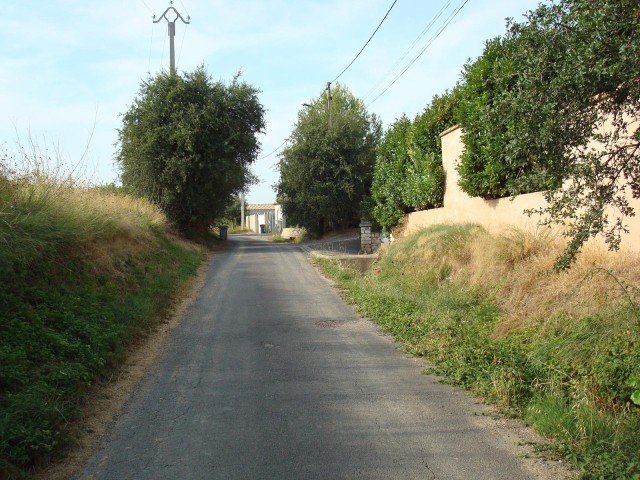 Chemin de Montagnac