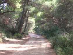 le sentier des lapins