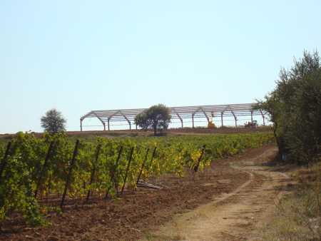 Construction d'un hangar agricole