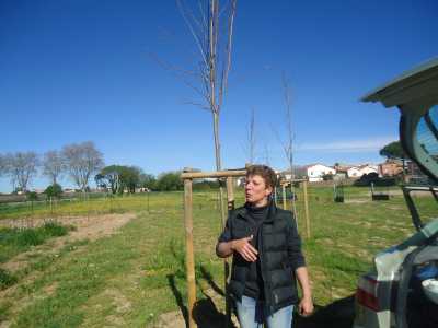 les jardins familiaux
----
Patricia THIEVIN