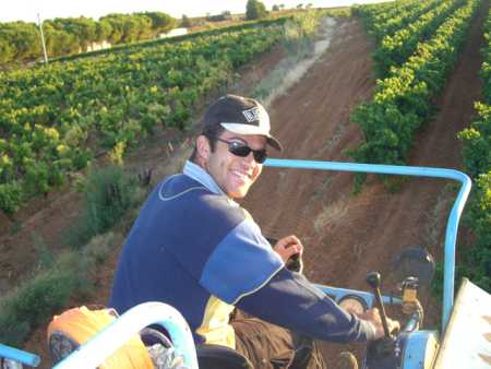  Ludovic SAGNIER
----
Vendanges 2007 avec la Famille RASCALOU