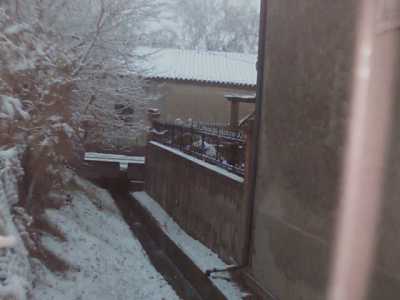 Pinet sous la neige
16 Janvier 2013