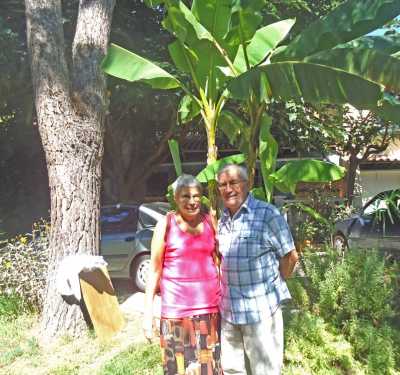 Liliane et Robert FOURNES
(Tarn)