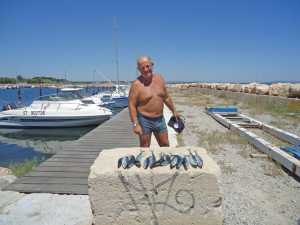 les Maquereaux sont revenus
(timidement) au large de
Marseillan