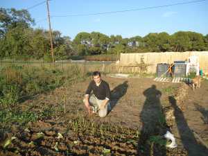 Steeve BUSNEL
en train de planter 
des salades
Octobre 2010