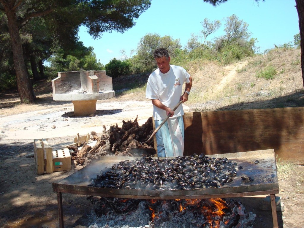 Claude MIRAMONT
Chef des Moules