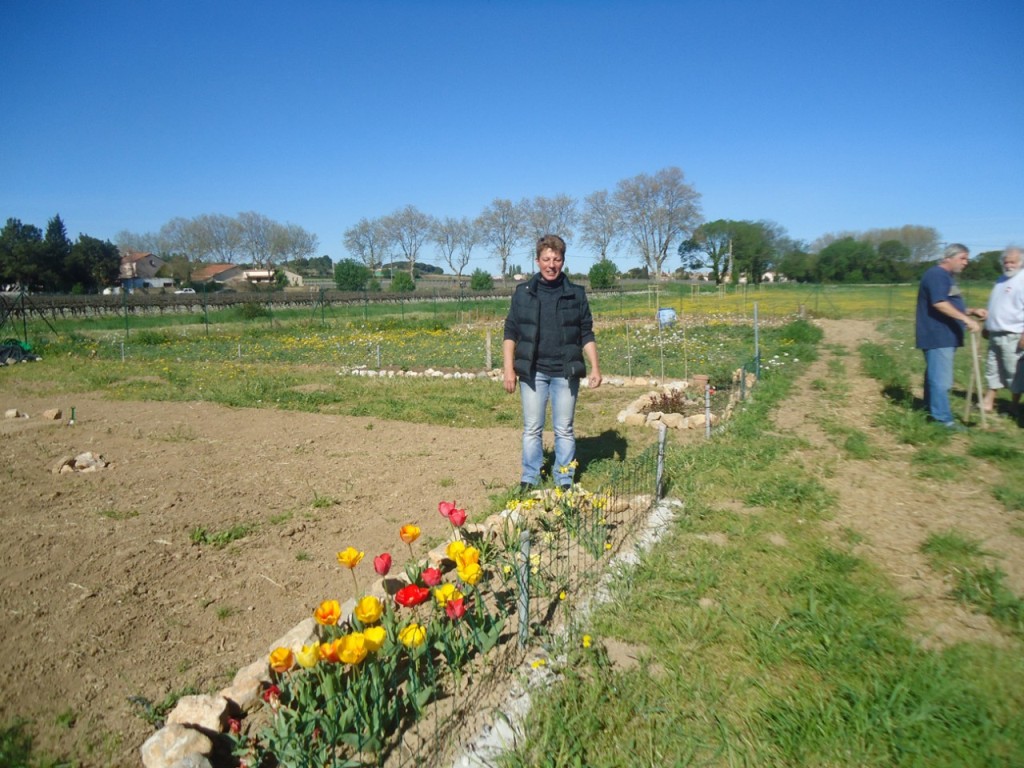 les jardins familiaux
----
Patricia THIEVIN
devant ses tulipes