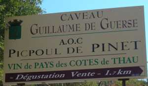 Domaine GUILLAUME de GUERSE