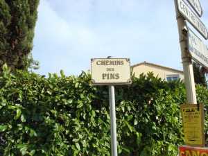 Chemin des Pins