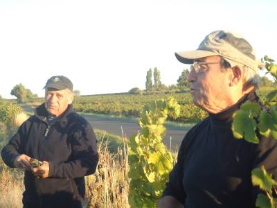 Photo-titre pour cet album: Vendanges Septembre 2010