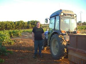 Photo-titre pour cet album: VENDANGES 2007