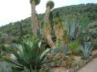 visite du Jardin botanique
de PINYA de ROSA
Commune de BLANES