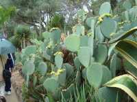 visite d'un Jardin botanique
fabuleux