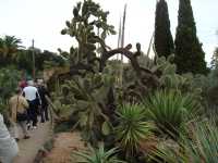 visite d'un Jardin botanique
fabuleux