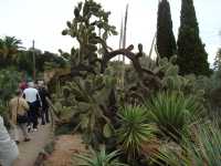 visite d'un Jardin botanique
fabuleux