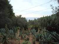 visite d'un Jardin botanique
fabuleux