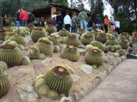 visite d'un Jardin botanique
fabuleux