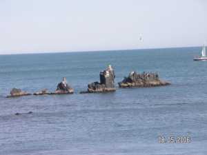 Cap d'Agde
Chaines rocheuses au pied des falaises