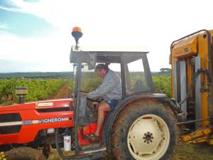 Photo-titre pour cet album: Vendanges PEREZ